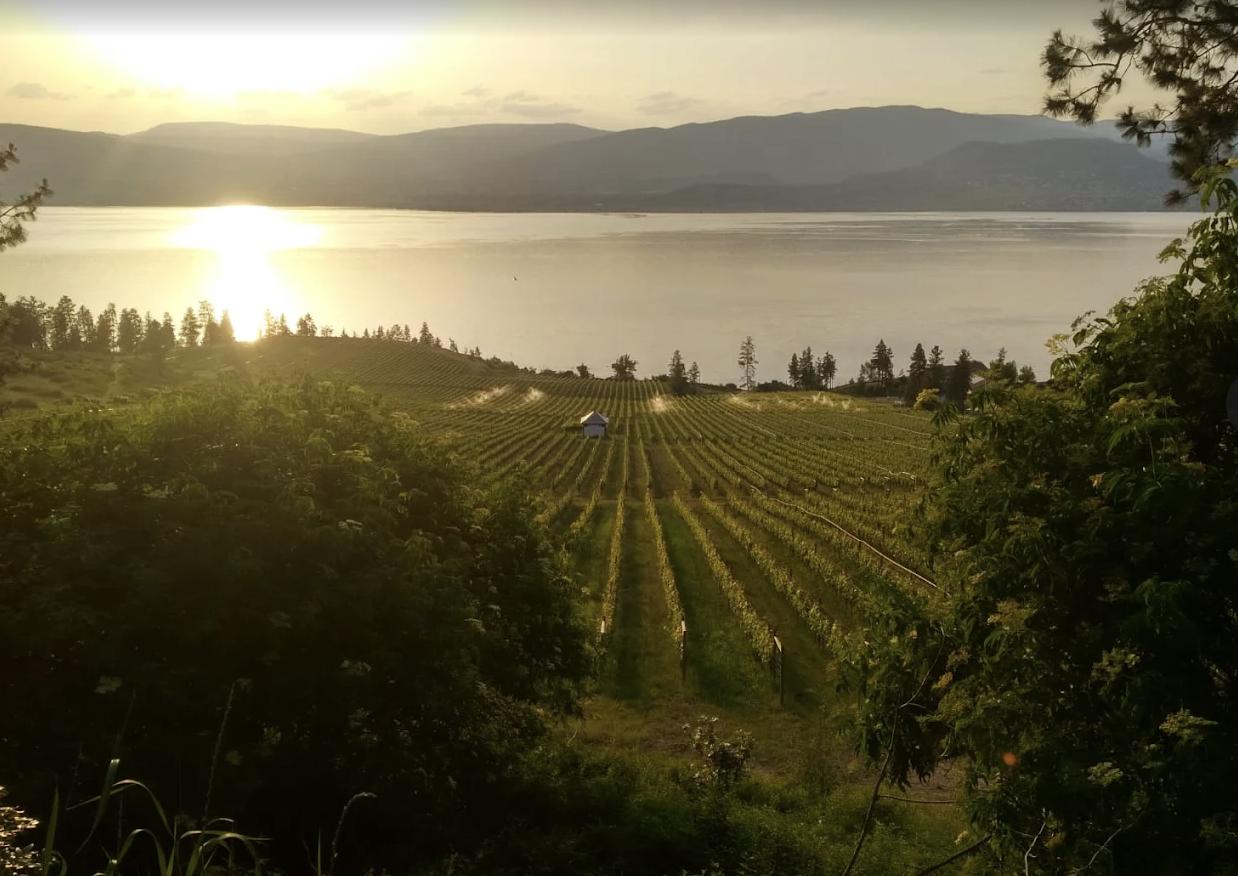 Okanagan winery country minutes from Upper Mission